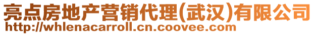 亮點(diǎn)房地產(chǎn)營(yíng)銷代理(武漢)有限公司