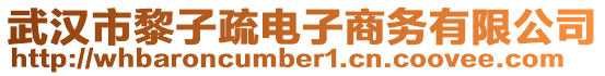 武漢市黎子疏電子商務(wù)有限公司