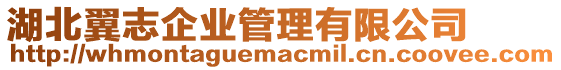 湖北翼志企業(yè)管理有限公司