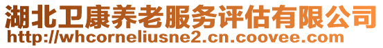 湖北衛(wèi)康養(yǎng)老服務(wù)評(píng)估有限公司