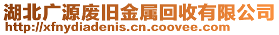 湖北廣源廢舊金屬回收有限公司