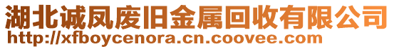 湖北誠鳳廢舊金屬回收有限公司