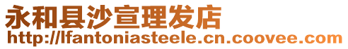 永和縣沙宣理發(fā)店