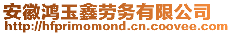 安徽鴻玉鑫勞務(wù)有限公司