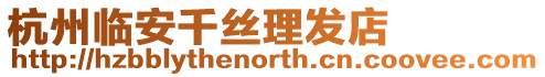 杭州臨安千絲理發店