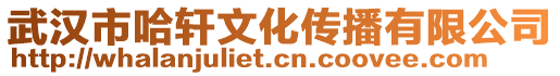 武漢市哈軒文化傳播有限公司