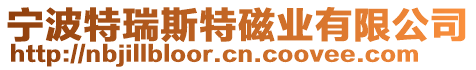 寧波特瑞斯特磁業(yè)有限公司