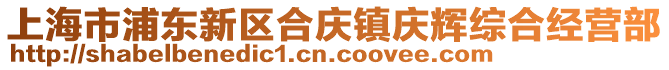 上海市浦東新區(qū)合慶鎮(zhèn)慶輝綜合經(jīng)營部