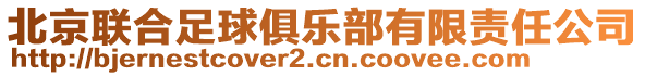 北京聯(lián)合足球俱樂部有限責(zé)任公司