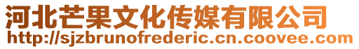 河北芒果文化傳媒有限公司