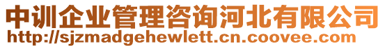 中訓(xùn)企業(yè)管理咨詢河北有限公司