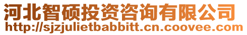 河北智碩投資咨詢有限公司