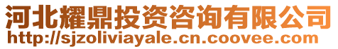 河北耀鼎投資咨詢(xún)有限公司