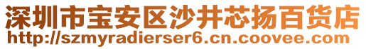 深圳市寶安區沙井芯揚百貨店