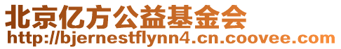 北京億方公益基金會