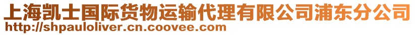 上海凱士國際貨物運輸代理有限公司浦東分公司