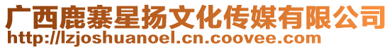 廣西鹿寨星揚(yáng)文化傳媒有限公司