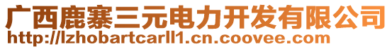 廣西鹿寨三元電力開(kāi)發(fā)有限公司