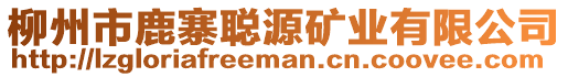 柳州市鹿寨聰源礦業(yè)有限公司