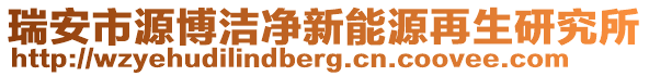 瑞安市源博潔凈新能源再生研究所