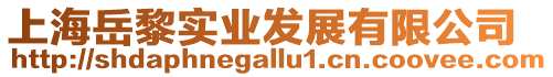 上海岳黎實業發展有限公司