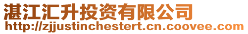 湛江匯升投資有限公司