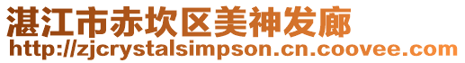 湛江市赤坎區美神發廊
