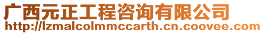 廣西元正工程咨詢有限公司