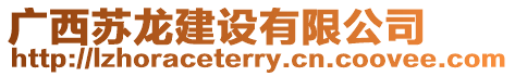廣西蘇龍建設有限公司