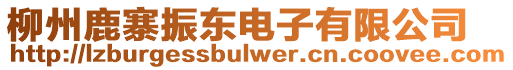 柳州鹿寨振東電子有限公司