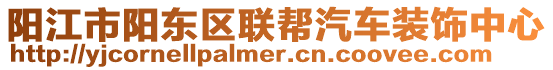 陽江市陽東區聯幫汽車裝飾中心