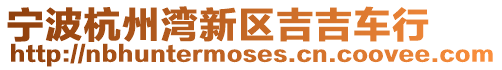 寧波杭州灣新區(qū)吉吉車行