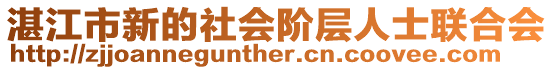 湛江市新的社會階層人士聯合會