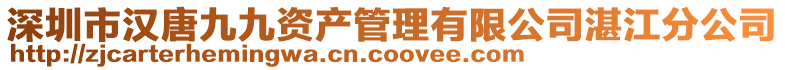 深圳市漢唐九九資產(chǎn)管理有限公司湛江分公司