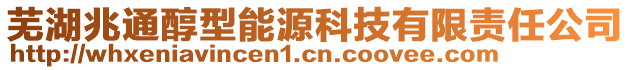 蕪湖兆通醇型能源科技有限責任公司