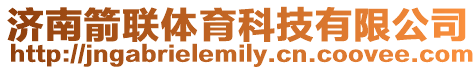 濟南箭聯體育科技有限公司