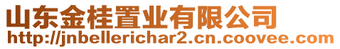 山東金桂置業有限公司