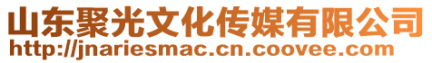 山東聚光文化傳媒有限公司