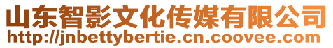 山東智影文化傳媒有限公司