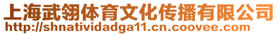 上海武翎體育文化傳播有限公司