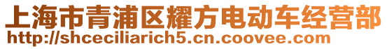 上海市青浦區耀方電動車經營部