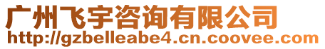 廣州飛宇咨詢有限公司