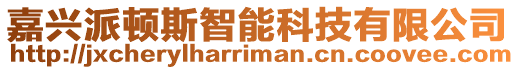 嘉興派頓斯智能科技有限公司