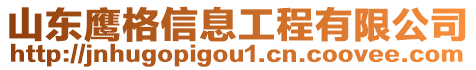 山東鷹格信息工程有限公司