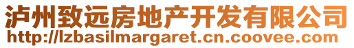 瀘州致遠(yuǎn)房地產(chǎn)開(kāi)發(fā)有限公司