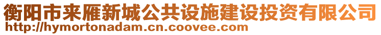 衡陽市來雁新城公共設施建設投資有限公司