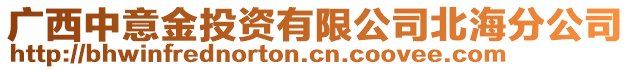 廣西中意金投資有限公司北海分公司