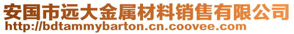 安國(guó)市遠(yuǎn)大金屬材料銷售有限公司