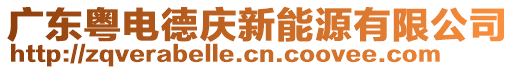 廣東粵電德慶新能源有限公司