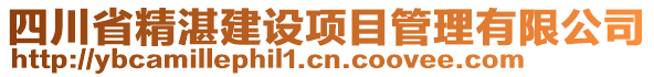 四川省精湛建設(shè)項目管理有限公司